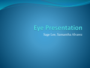 Eye Presentation - Downey Unified School District