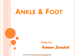 Ankle & Foot - Hastaneciyiz's Blog