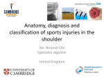 Biomechanics of fracture fixation