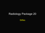 Radiology Packet 1