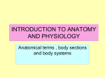 INTRODUCTION TO ANATOMY AND PHYSIOLOGY