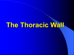The Thoractic Wall