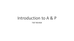 Introduction to A & P