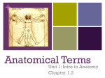 NOTES Anatomical Terms KD11
