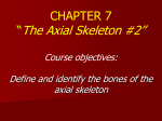 CHAPTER 7 “The Axial Skeleton #2” Course objectives: Define and