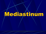 Mediastinum