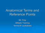 Anatomical Terms and Reference Points