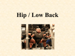 Hip / Low Back - Barrington 220