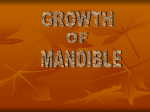 growth_of_mandible__ortho_