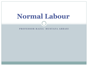 Labour management issues & referral System