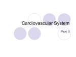 Cardiovascular System part II