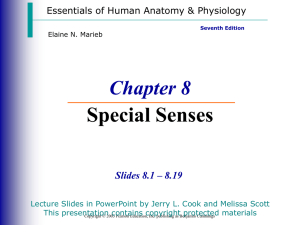 Chapter 8 Special Senses