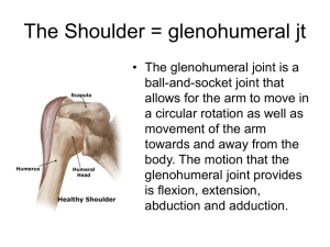 Rotator Cuff