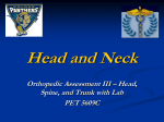 Head and Neck