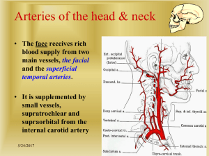 Arteries of the Head and Neck