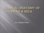 Clinical Notes of Head & Neck