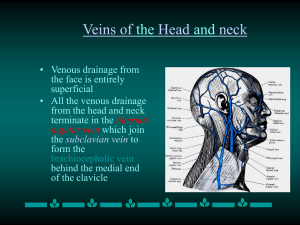 Veins of the Head and neck