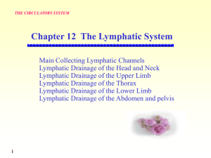 9 lymph node