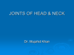 27-Joints Head & Neck