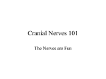 Cranial Nerves 101