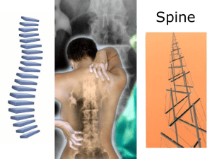 Intervertebral Discs