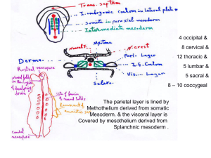 01-body cavities2008-02