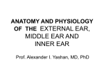 ANATOMY AND PHYSIOLOGY OF THE EAR