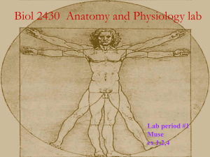 Anatomical terms and systems