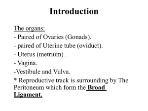 Ovary