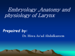 1._The_Larynx