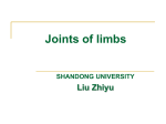 Joints of limbs