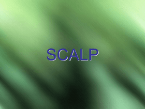 01-Scalp