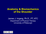 development of an instrument to assess patient reported shoulder