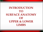SURFACE ANATOMY AND MARKINGS OF THE UPPER LIMB