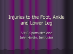 Injuries to the Foot, Ankle and Lower Leg