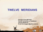 The Connections of the Twelve Regular Meridians