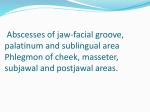 Abscesses of Maxillofacial grooves, mouth, sublingual roller