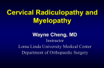 Myelopathy - Cloudfront.net