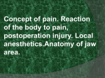 Concept of pain