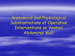 Skin Incisions of the Ventral Abdominal Wall