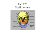 Rad 270 Skull Lecture
