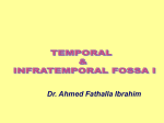 12-Temporal & infratemporal fossa I