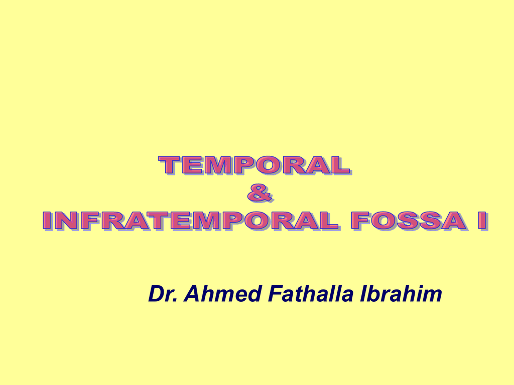 12 Temporal Infratemporal Fossa I