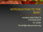 INTRODUCTION TO THE BODY