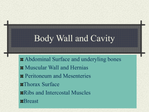 Abdominal Wall and Cavity
