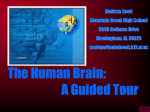 A Guided Tour of the HUMAN BRAIN