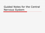 Guided Notes for the Central Nervous System