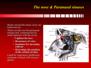 The nose & Paranasal sinuses