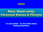 L1-Nose, Nasal cavity & Paranasal sinuses & Pharynx 2014