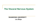 The Visceral Nervous System
